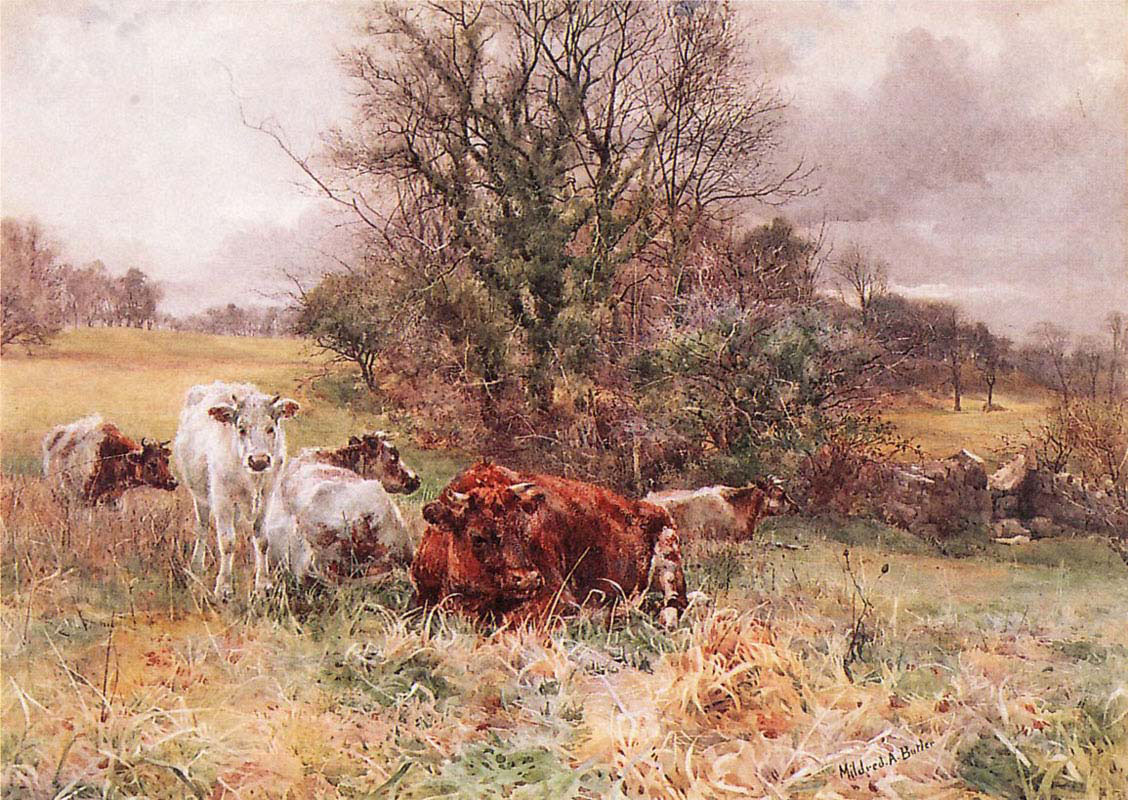 A Sheltered Corner 